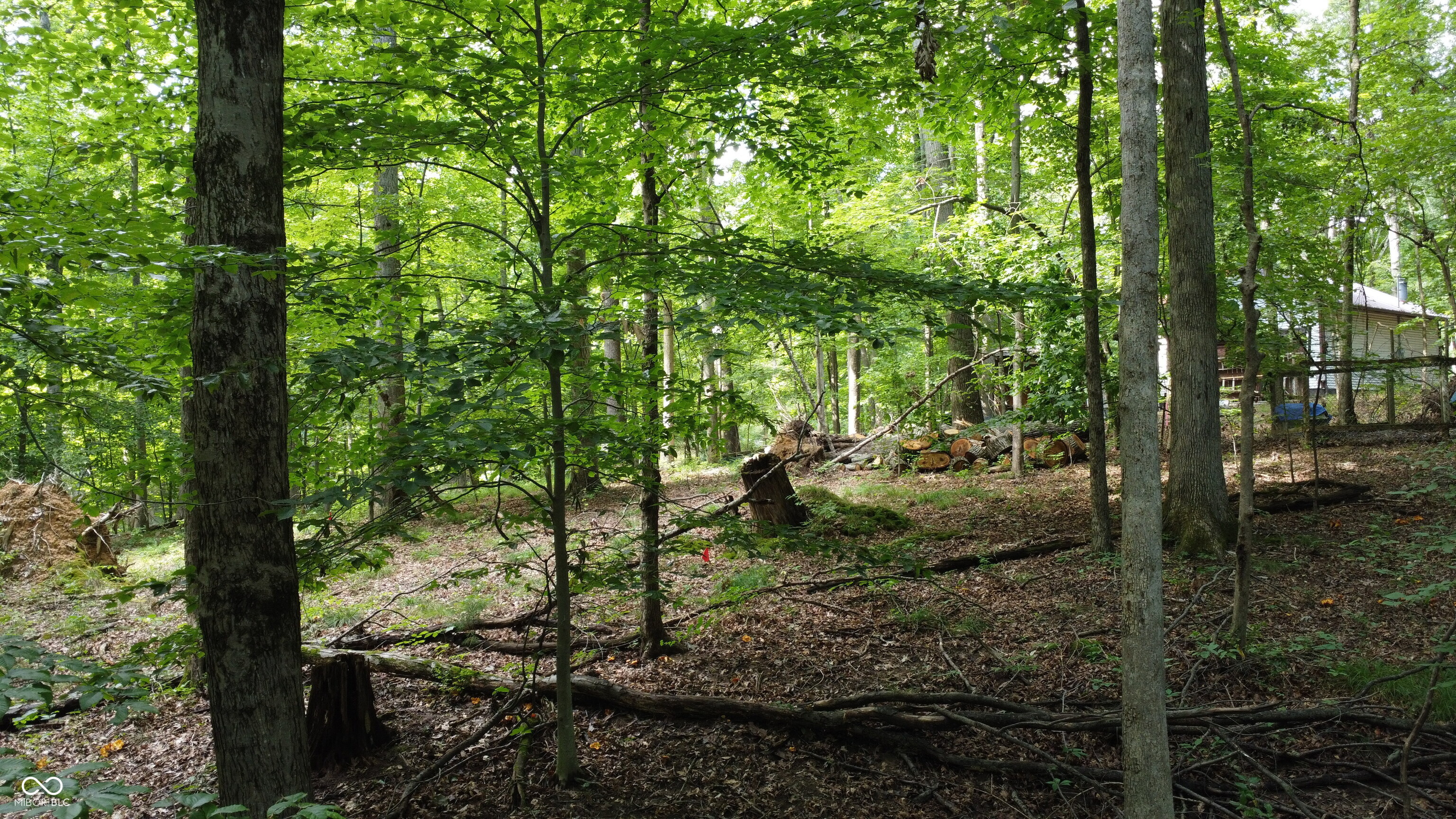 X Fox Court Nineveh, IN 46164 - Photo 20 of 24