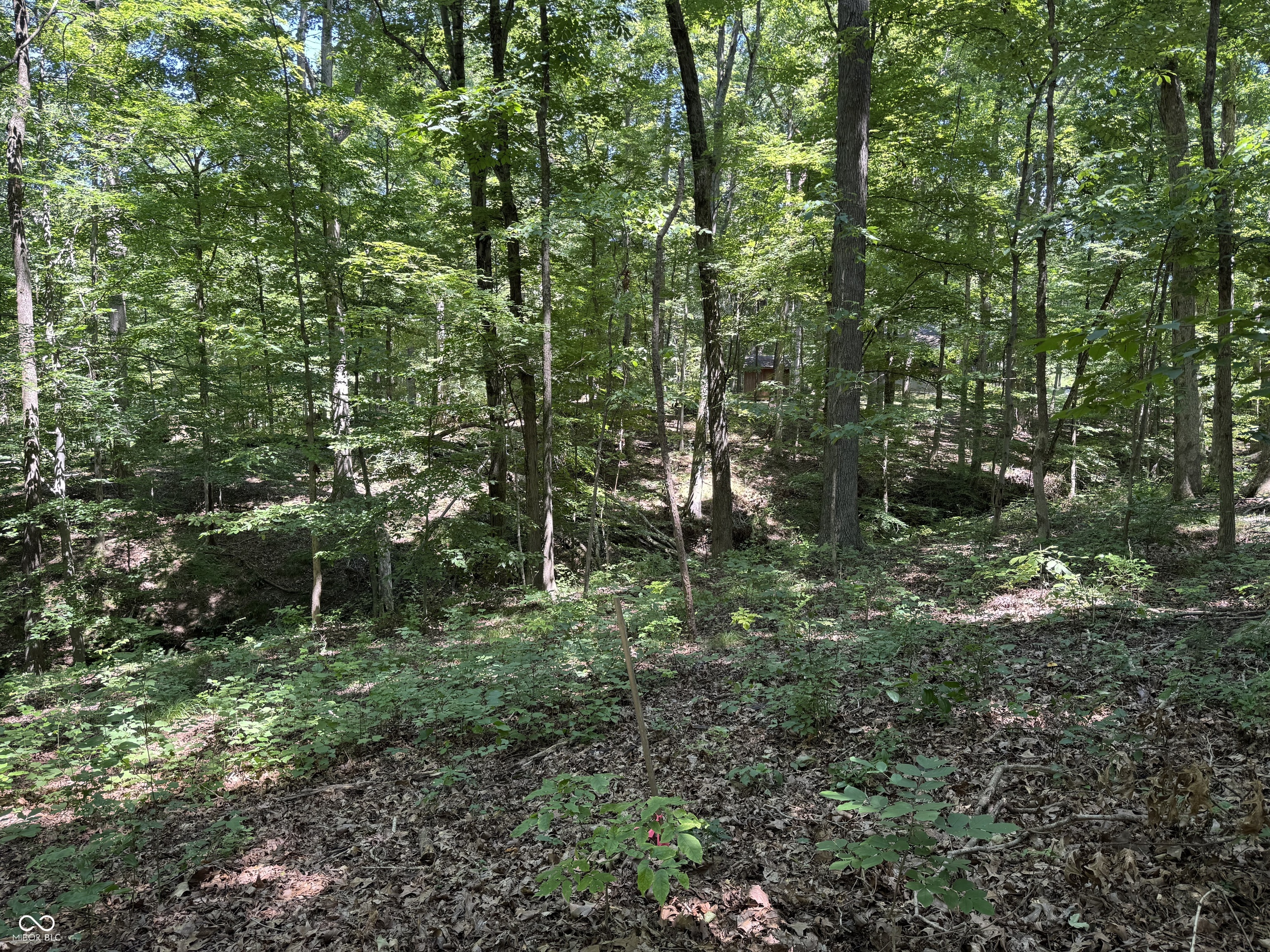 X Fox Court Nineveh, IN 46164 - Photo 2 of 24