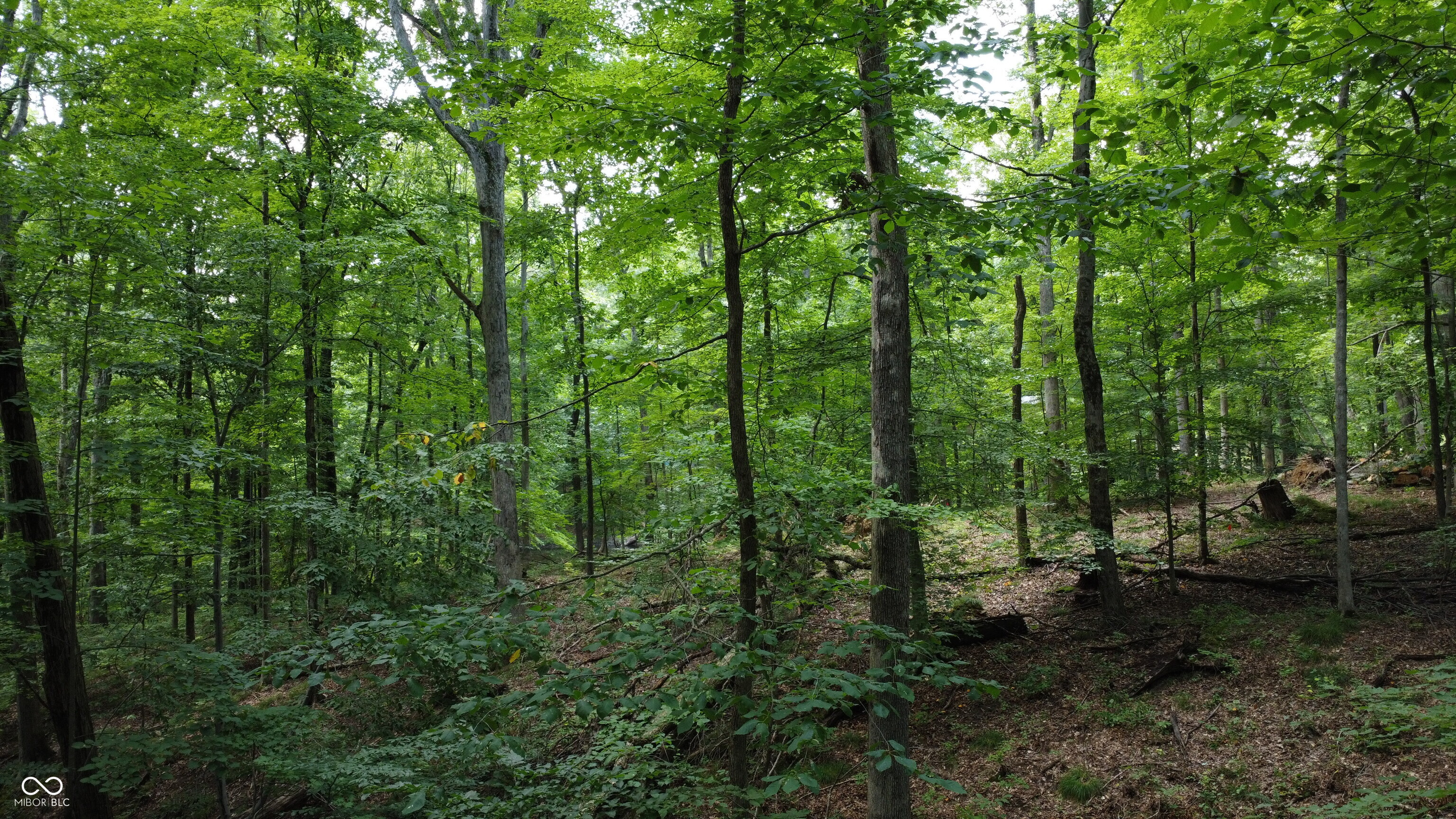 X Fox Court Nineveh, IN 46164 - Photo 21 of 24