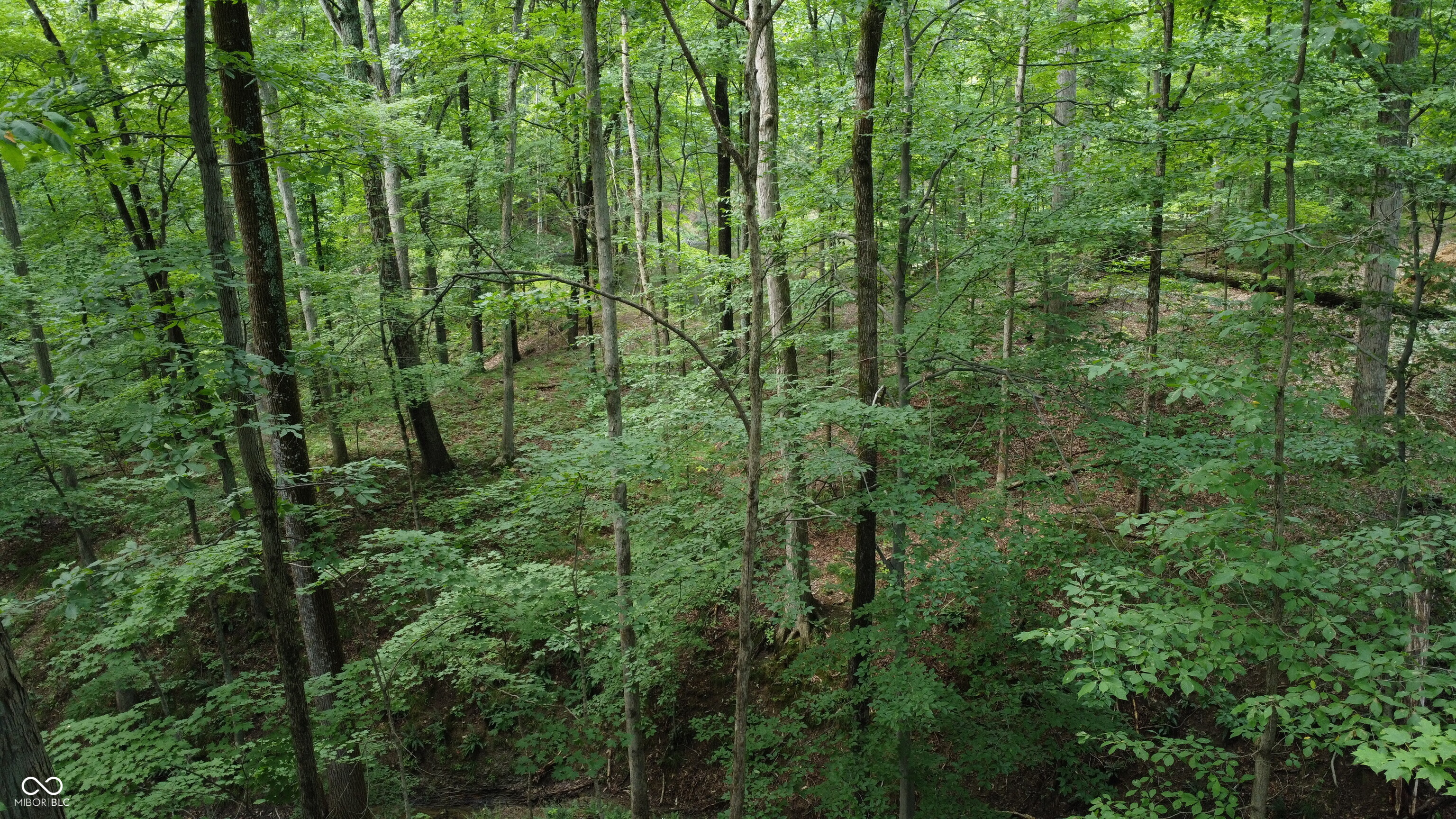 X Fox Court Nineveh, IN 46164 - Photo 22 of 24