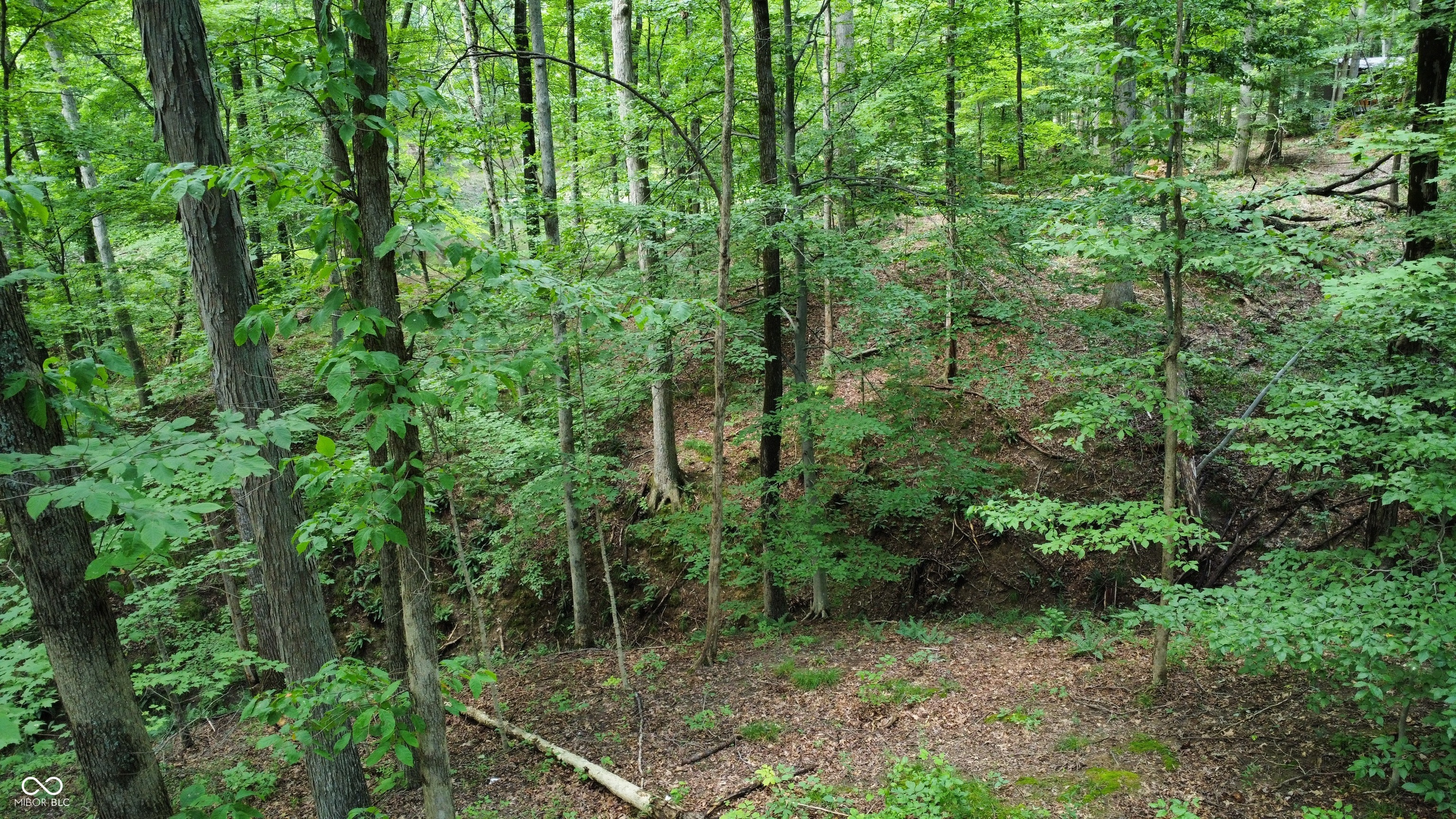 X Fox Court Nineveh, IN 46164 - Photo 23 of 24