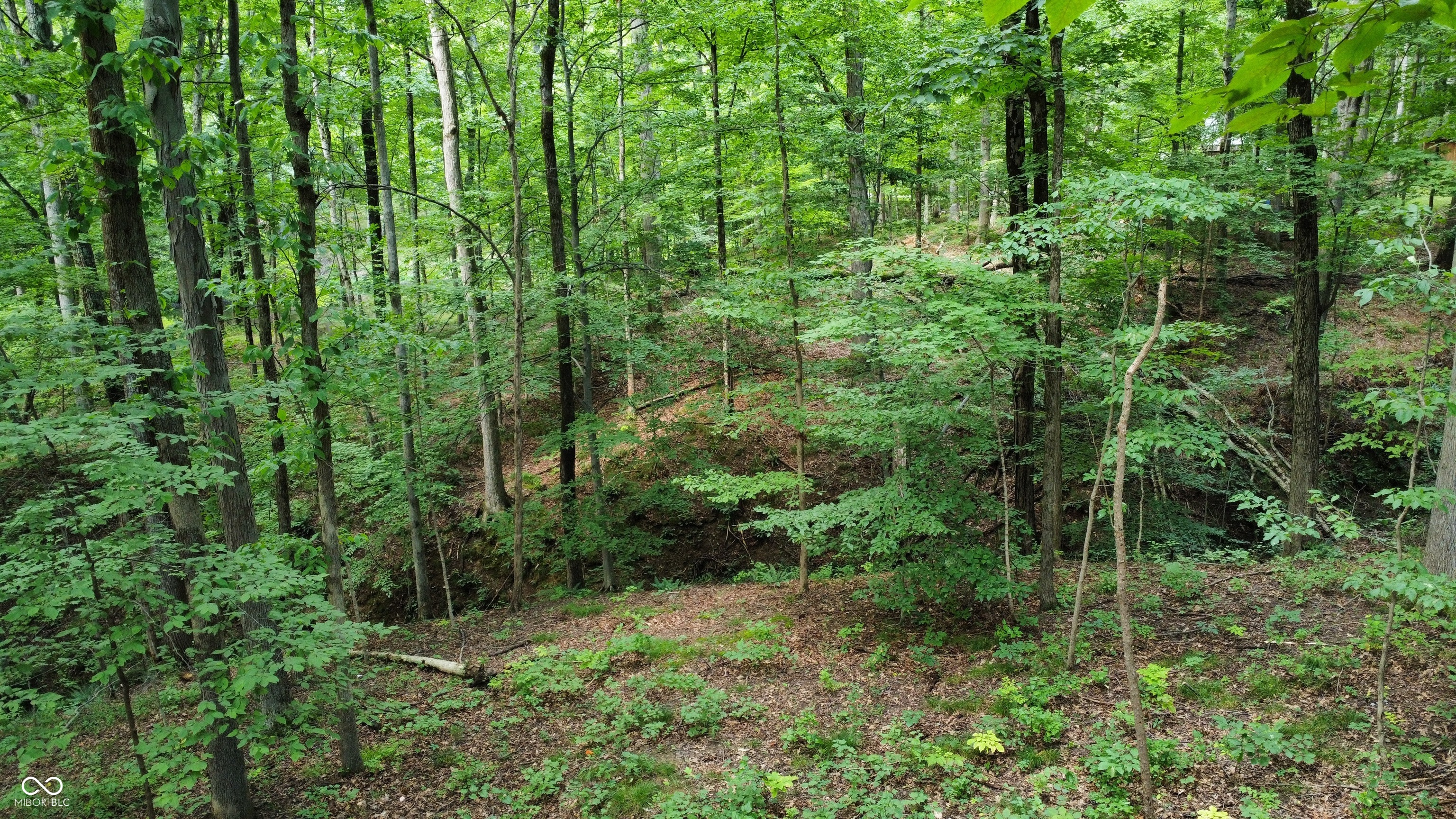 X Fox Court Nineveh, IN 46164 - Photo 24 of 24