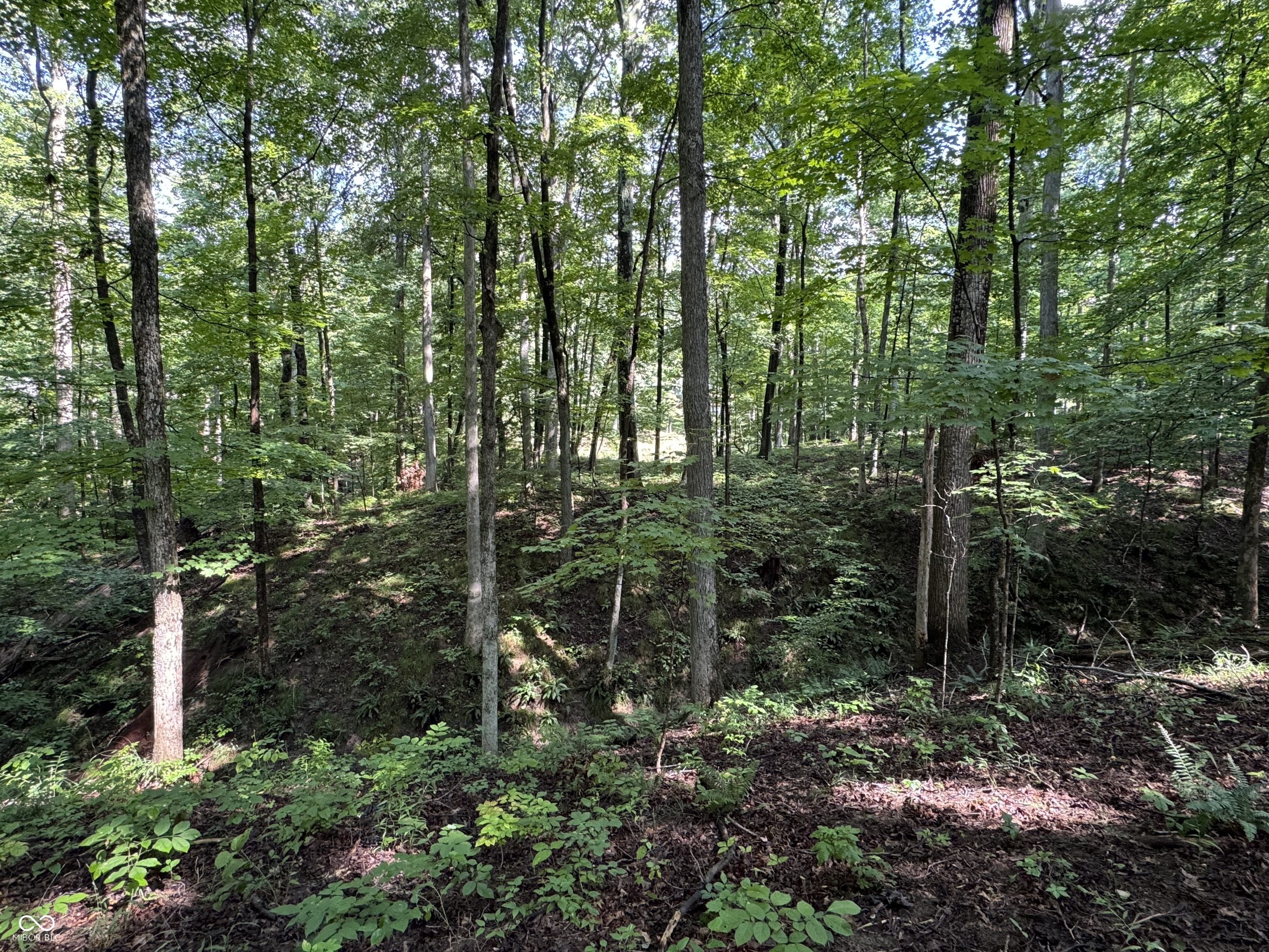 X Fox Court Nineveh, IN 46164 - Photo 5 of 24