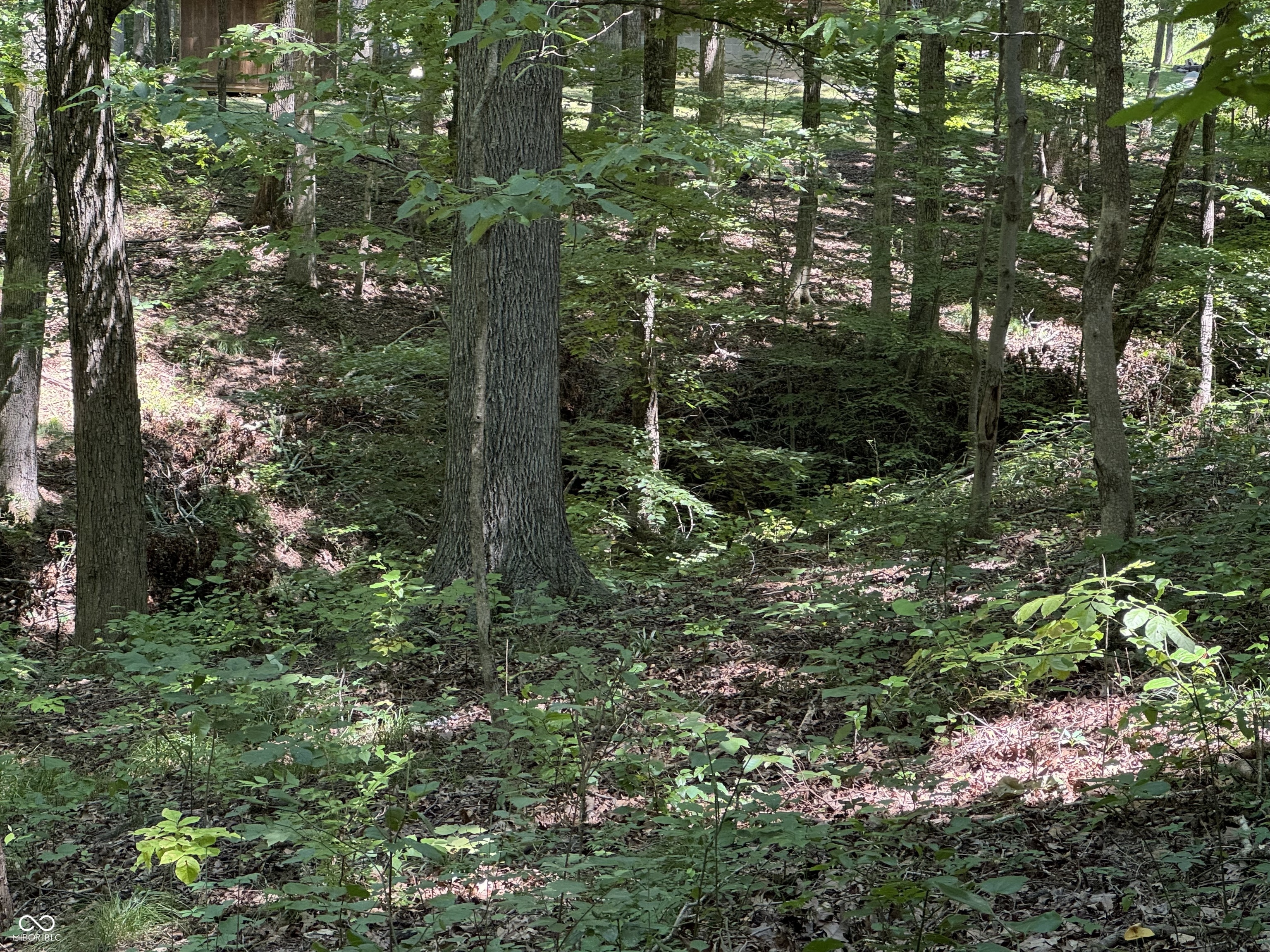 X Fox Court Nineveh, IN 46164 - Photo 8 of 24