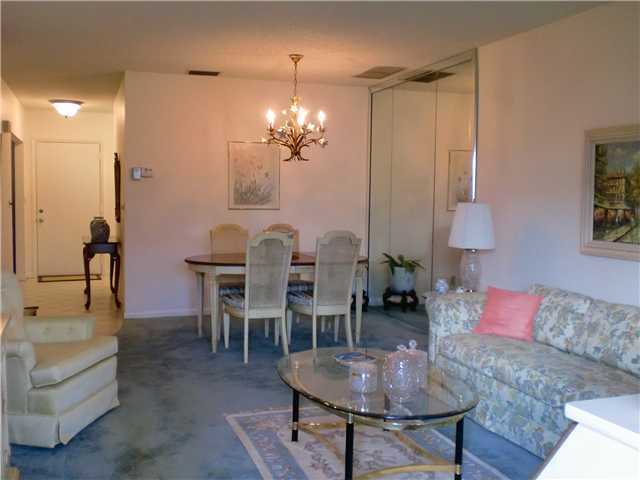 20841 Vinesta Circle, Unit 319 Boca Raton, FL 33433 - Photo 5 of 15 Additional Photo