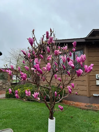 $549,900 | 1730 Stone Avenue, Benson, MN 56215