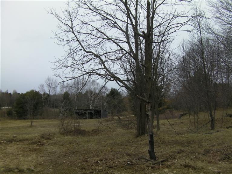 4458 Schneider Road Manistee, MI 49660 - Photo 5 of 11 Additional Photo