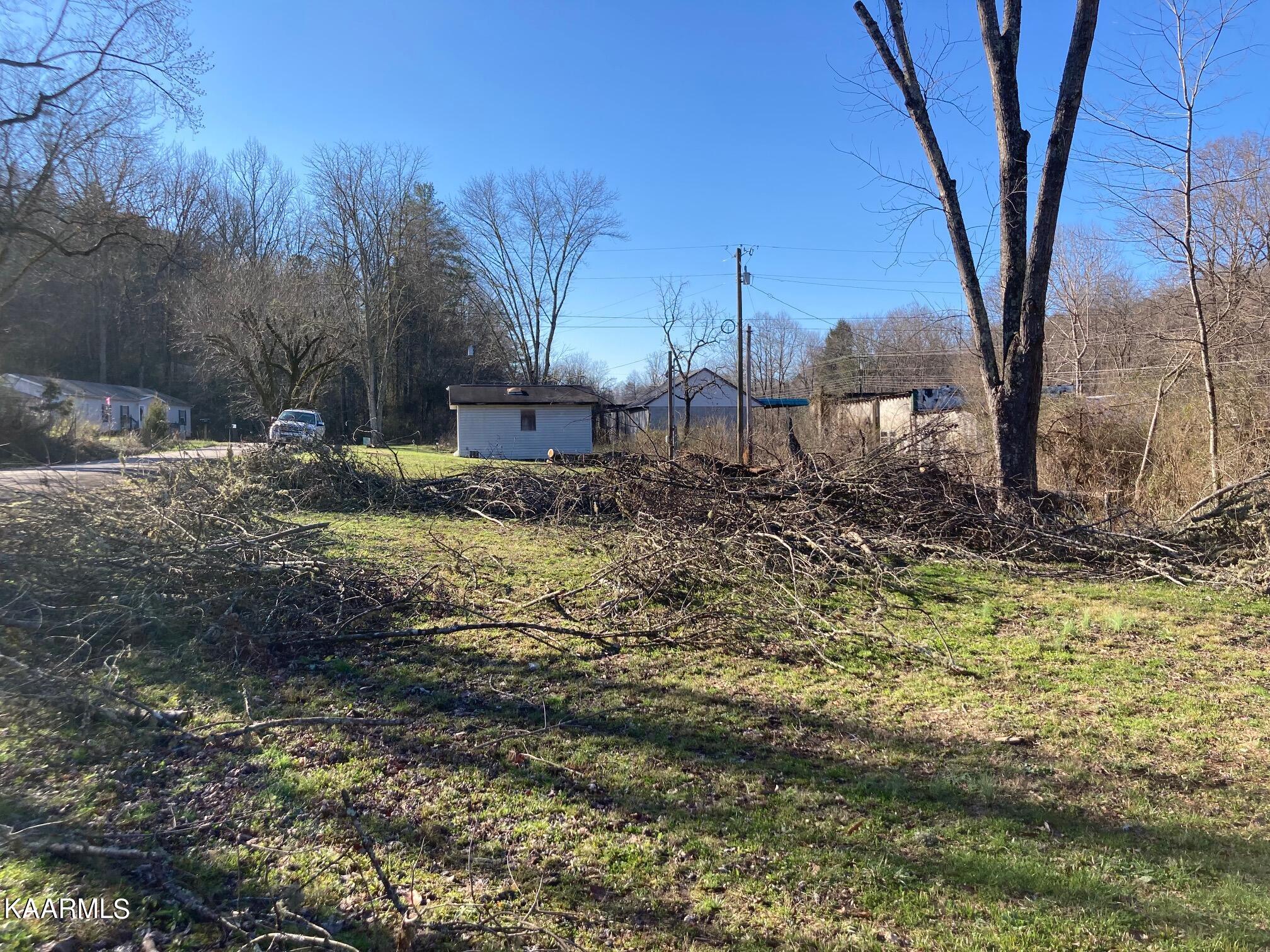 115 Patterson Road Oliver Springs, TN 37840 - Photo 3 of 14 trees have been taken down