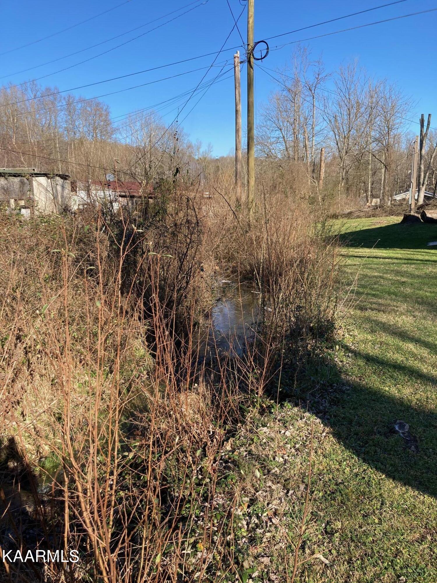 115 Patterson Road Oliver Springs, TN 37840 - Photo 10 of 14 creek along back of property