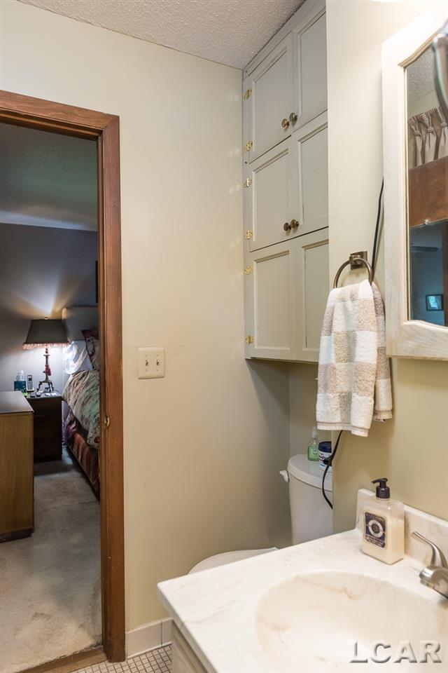 603 Spring Street Tecumseh, MI 49286 - Photo 47 of 71 50023860-46.JPG