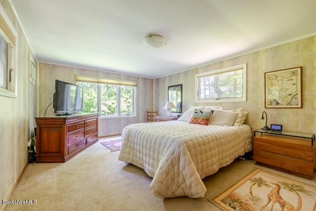 74 Prospect Lake Road Egremont, MA 01230 - Photo 17 of 19 IMG_2271