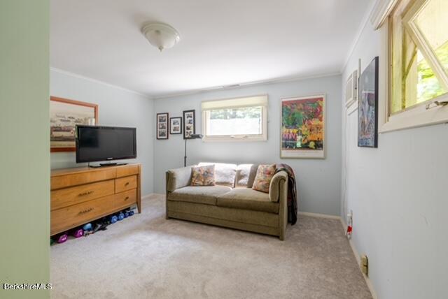 74 Prospect Lake Road Egremont, MA 01230 - Photo 18 of 19 IMG_2272