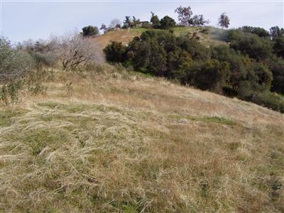 44444 Dunlap Road Miramonte, CA 93641 - Photo 13 of 14 Gallery Image 13