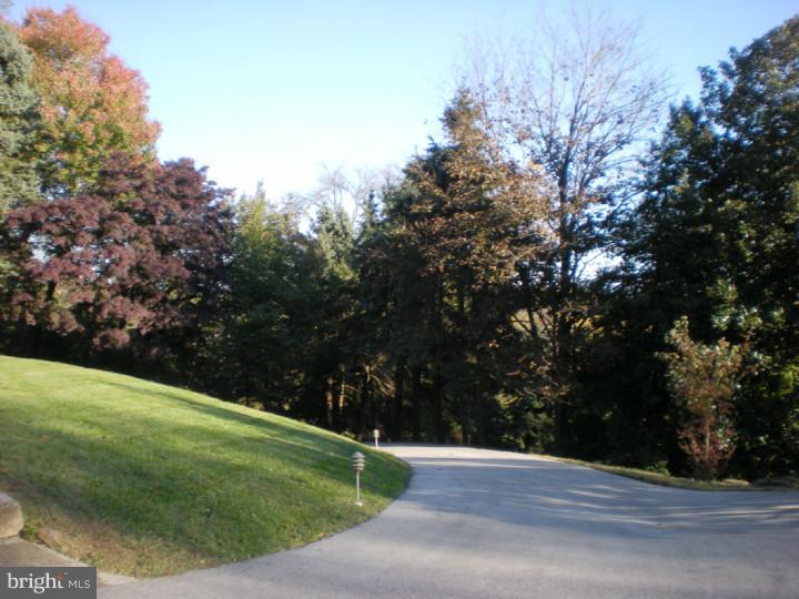100 Gulph Hills Road Radnor, PA 19087 - Photo 6 of 24 Driveway