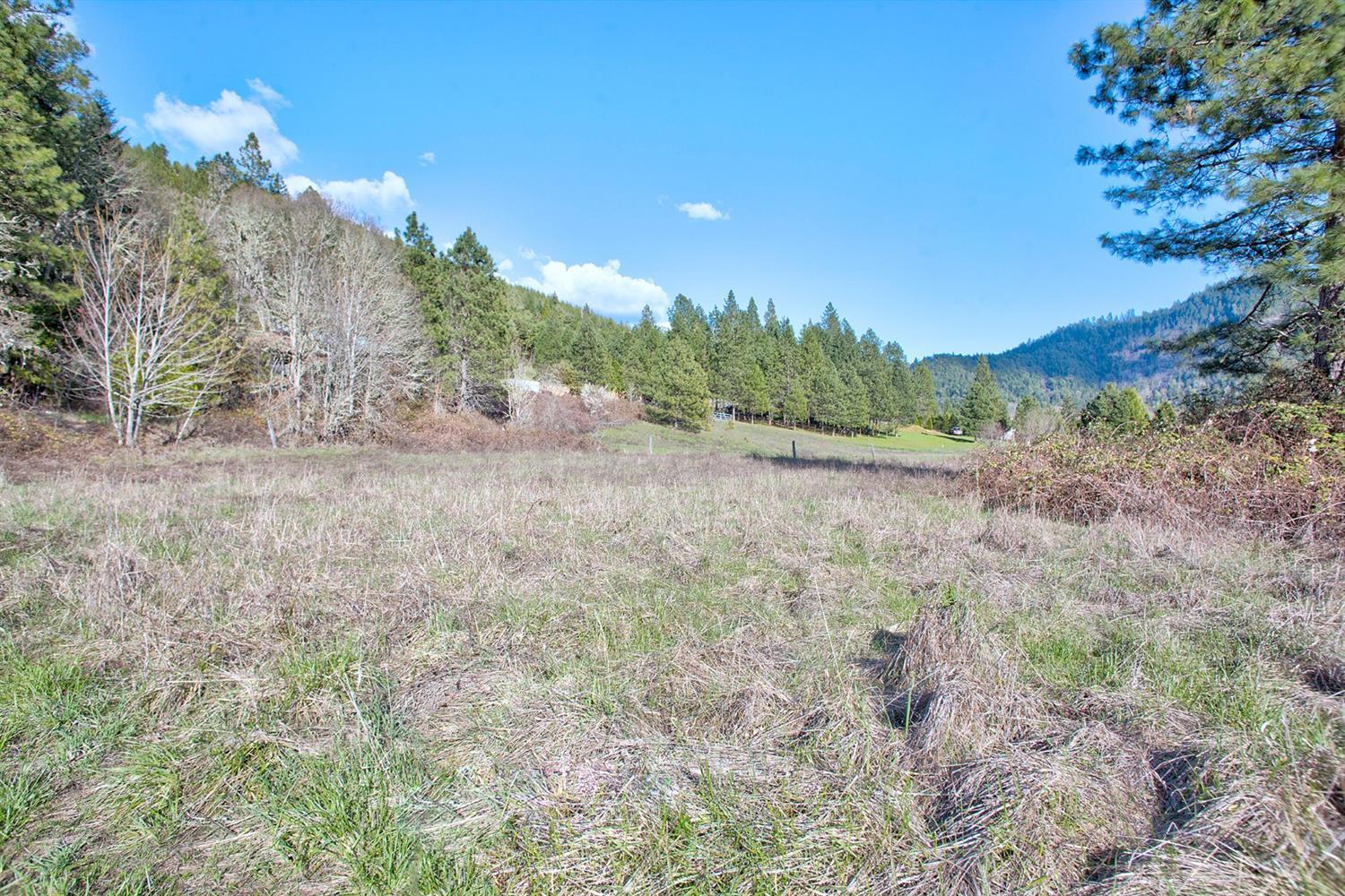 4110 Azalea-Glen Road Glendale, OR 97442 - Photo 19 of 28 Additional Photo