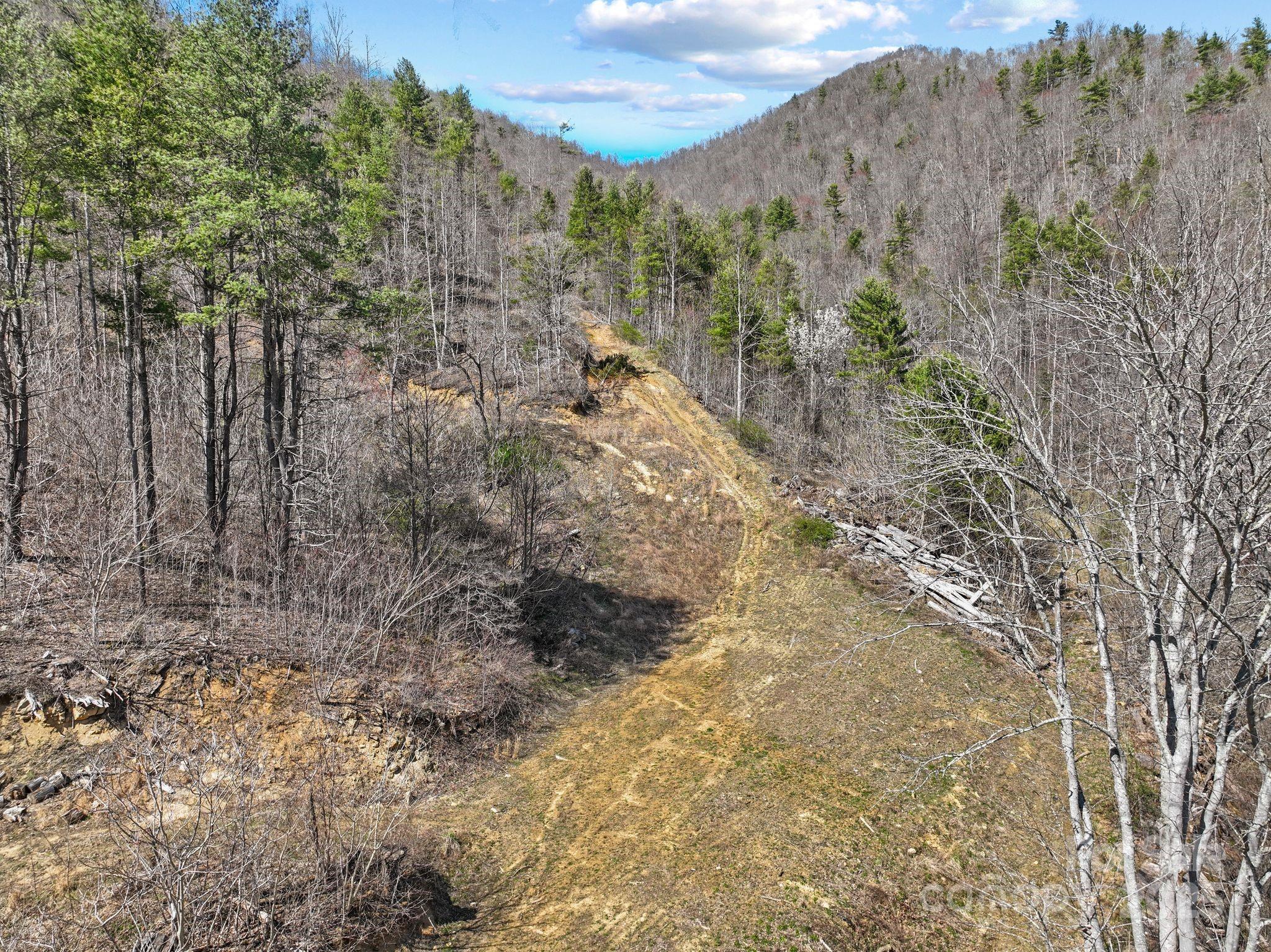 902 Spillcorn Road Marshall, NC 28753 - Photo 12 of 18