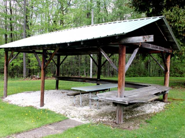 Gallery Image 7