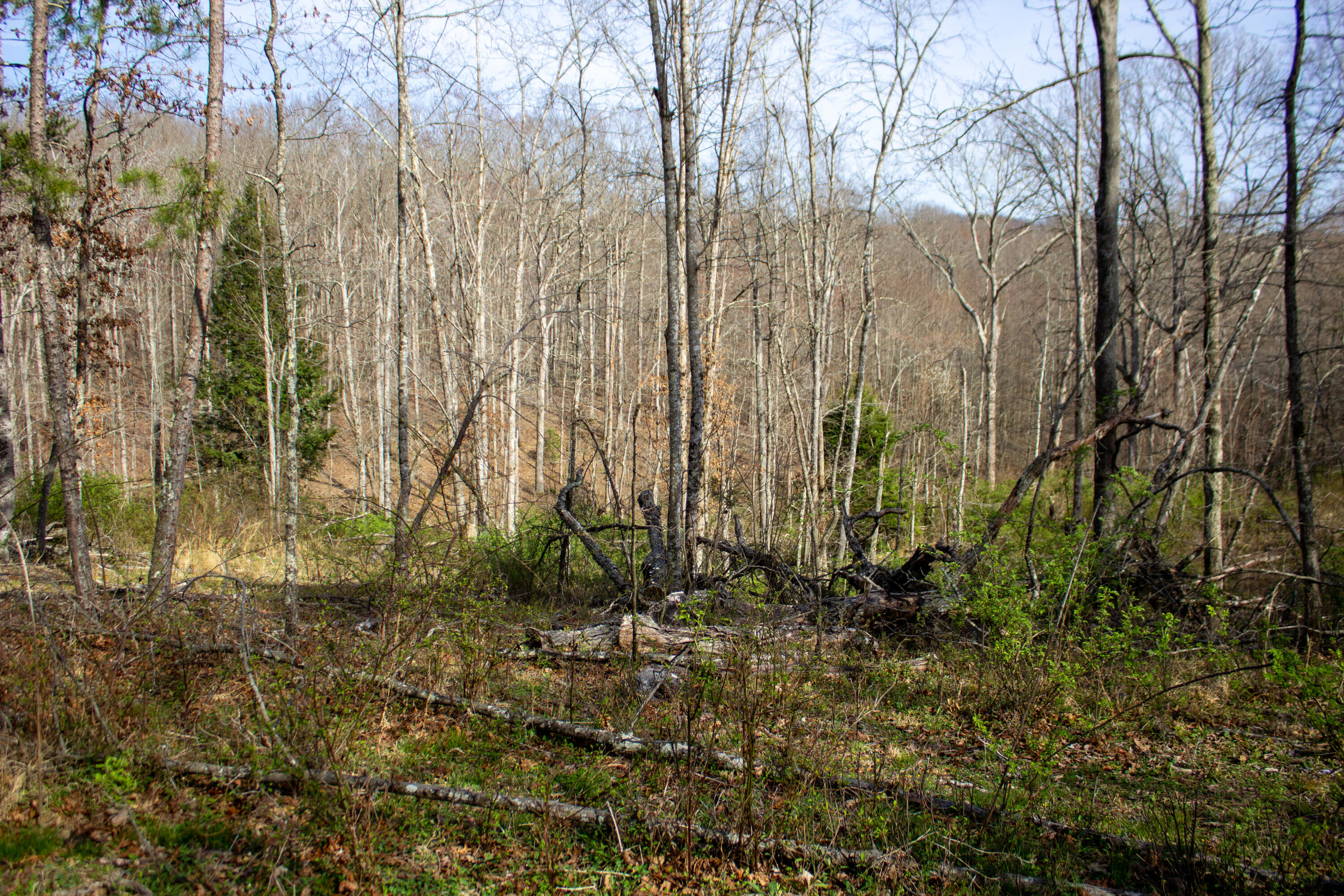 648 Conway Road Tyner, KY 40486 - Photo 9 of 17 Photo Apr 10, 3 59 29 PM