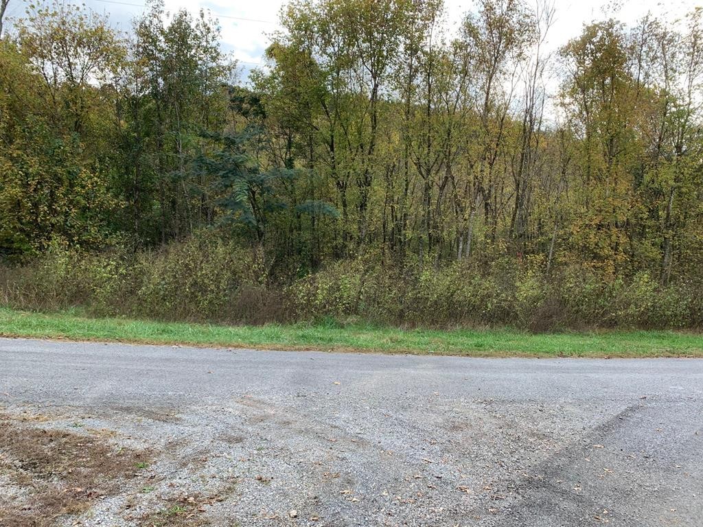0 Woods Hollow Road Decatur, TN 37322 - Photo 1 of 12 Gallery Image 1