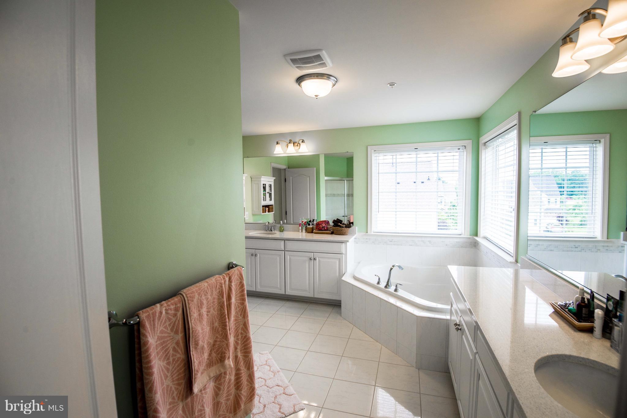 2372 Sweet Meadow Road Baltimore, MD 21209 - Photo 19 of 30 Bath (Master) - Spacious Double Vanity