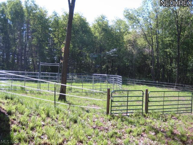 7479 Hazy Morning Road Dellroy, OH 44620 - Photo 21 of 25