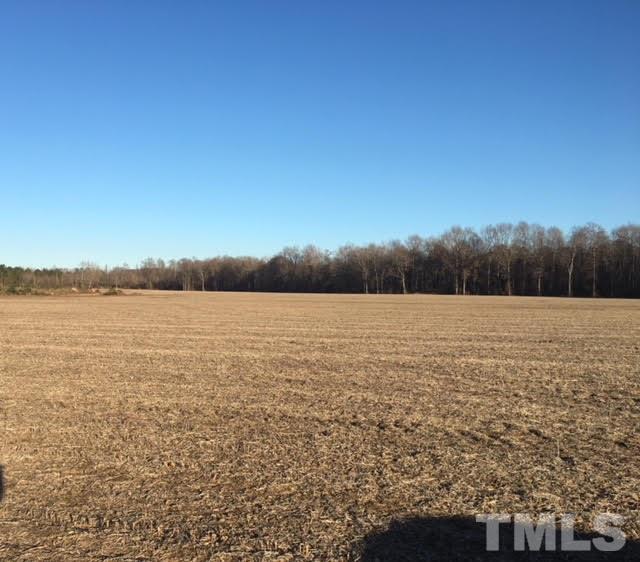 1729 Hickory Crossroads Road Kenly, NC 27542 - Photo 3 of 5 Gallery Image 3