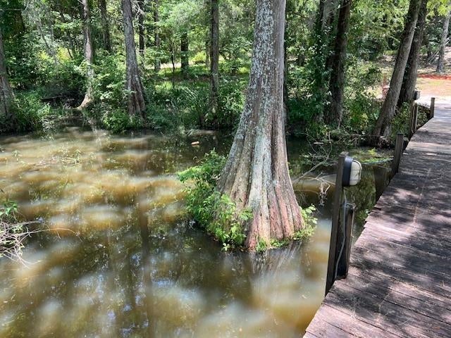 31372 Joe Hughes Road Andalusia, AL 36421 - Photo 37 of 45 Gallery Image 37