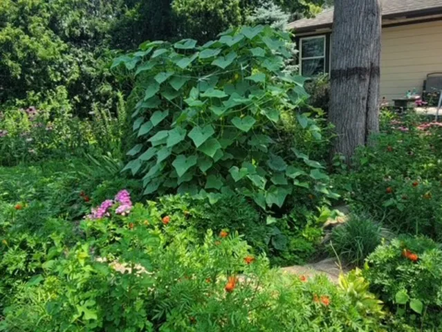 $429,900 | 1748 North Windsor Drive, Arlington Heights, IL 60004