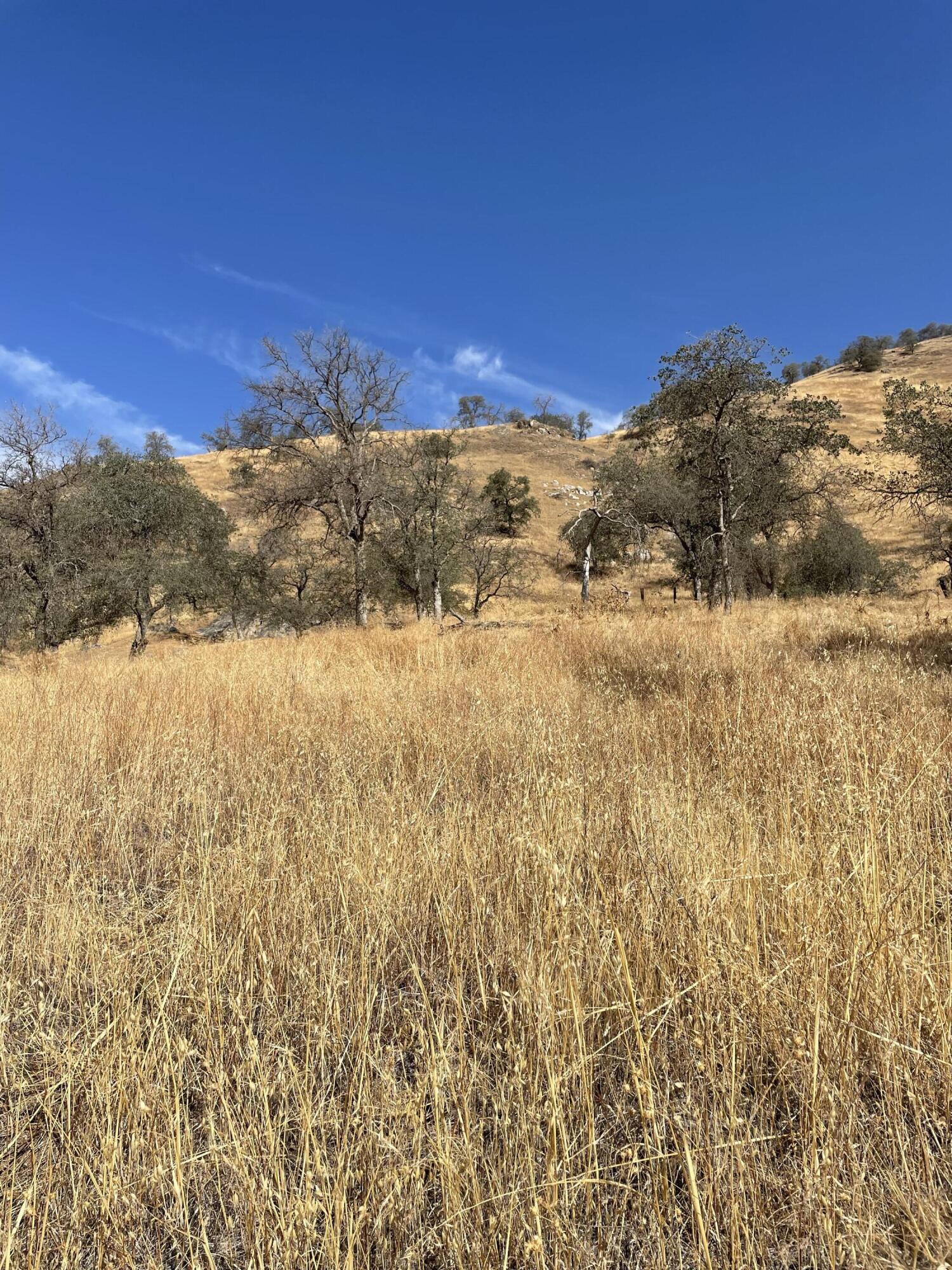 42208 Corral Drive Three Rivers, CA 93271 - Photo 1 of 3 IMG_3753