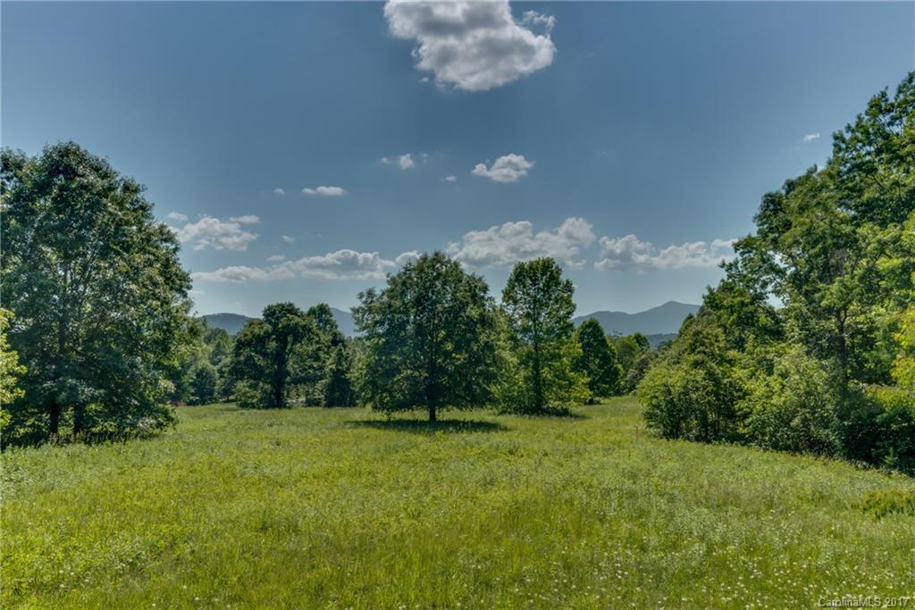 111 Shady Bark Lane Rutherfordton, NC 28139 - Photo 3 of 23