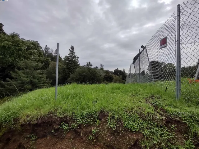 a view of a back yard