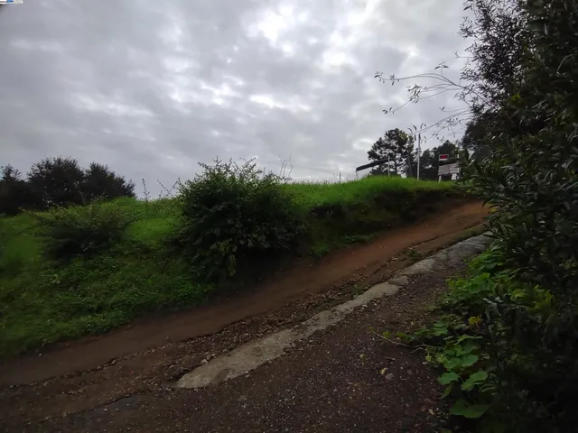 a view of a pathway both side of yard