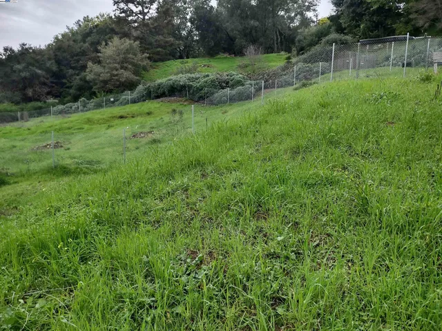 a view of an outdoor space and a yard