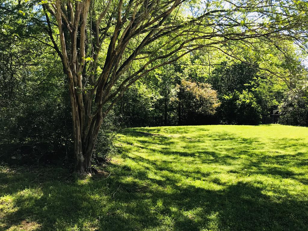13 Country Squire Road Natchez, MS 39120 - Photo 42 of 43 Backyard