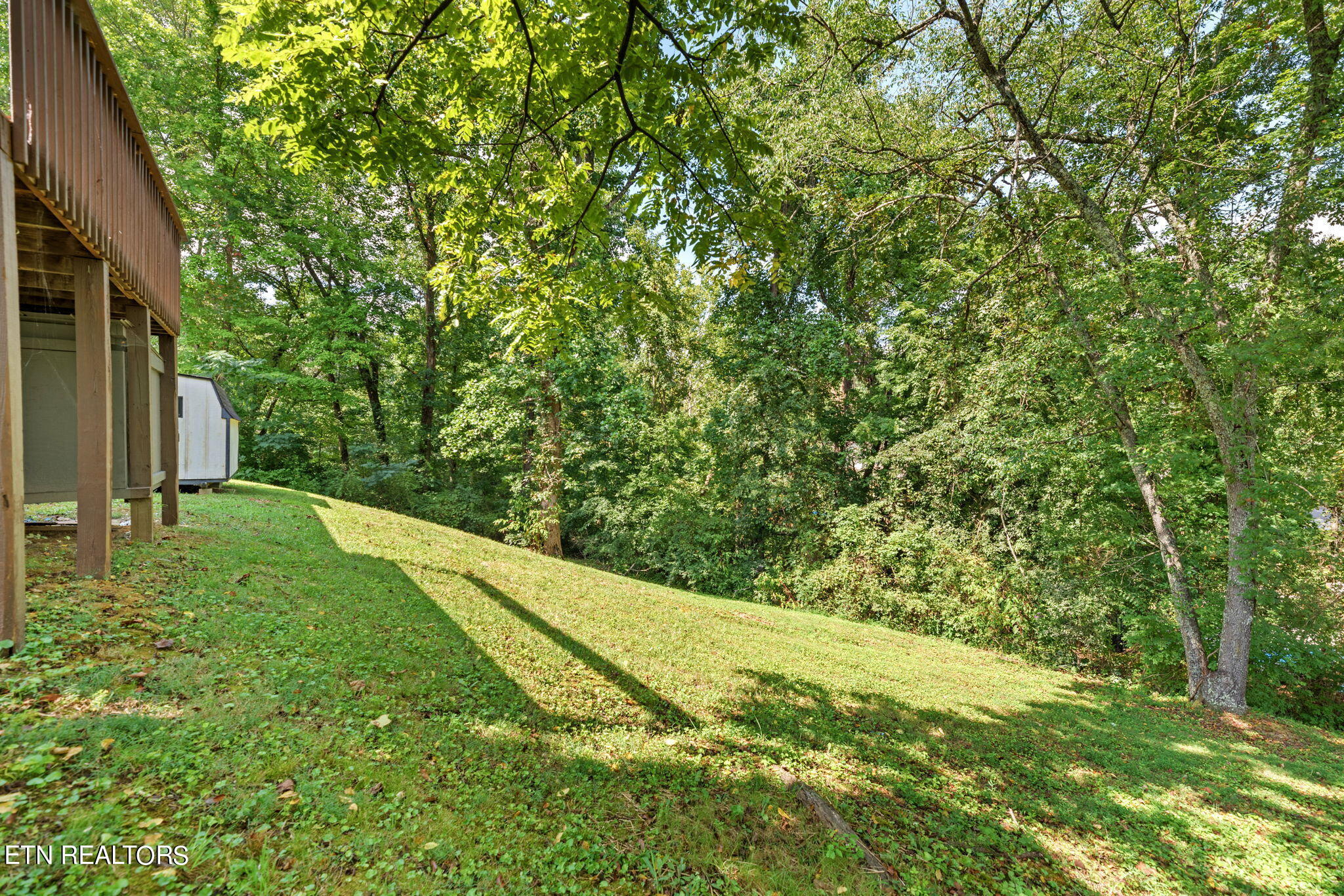 8114 Sharp Road Powell, TN 37849 - Photo 38 of 39 38-web-or-mls-Shrp8114 (9)