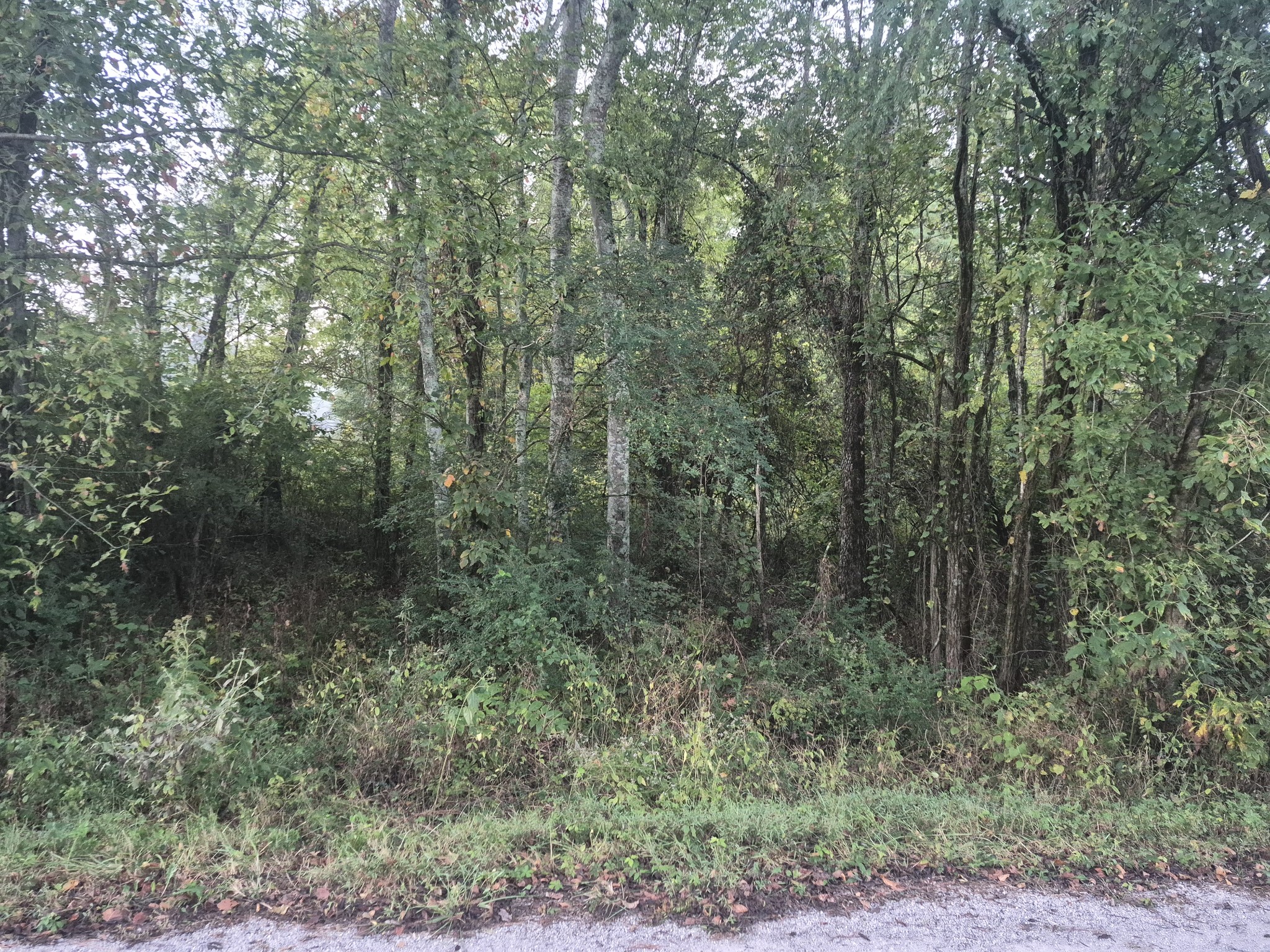 1 Dixontown Road Ardmore, TN 38449 - Photo 1 of 3 Gallery Image 1