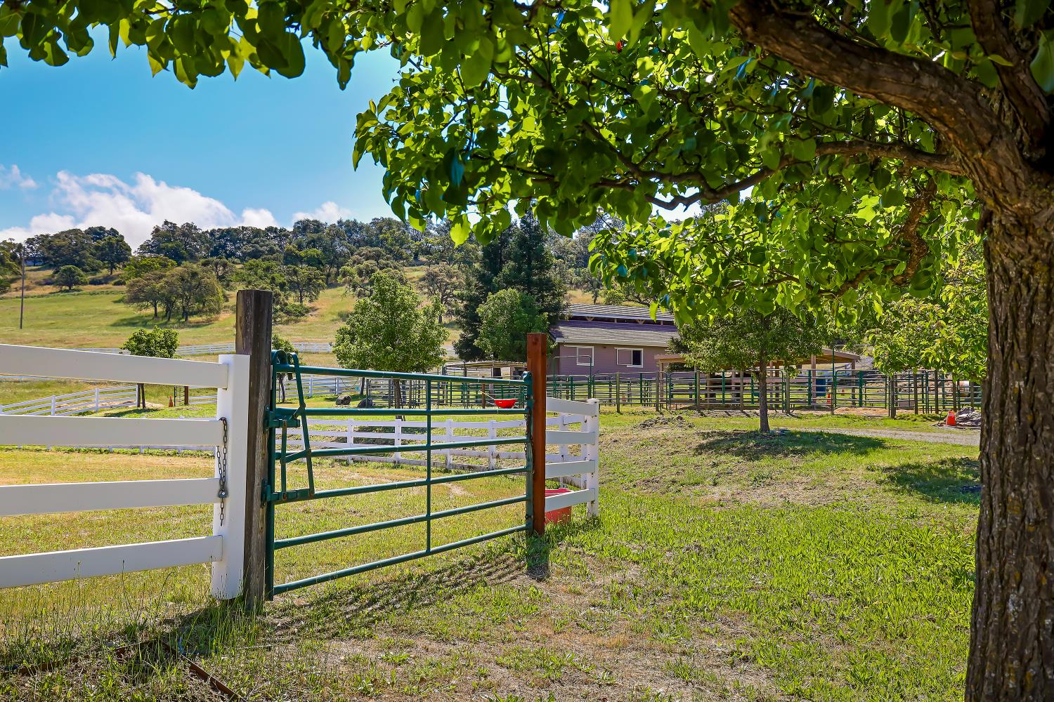 3751 Cosgrove Creek Road Valley Springs, CA 95252 - Photo 79 of 99 Gallery Image 79