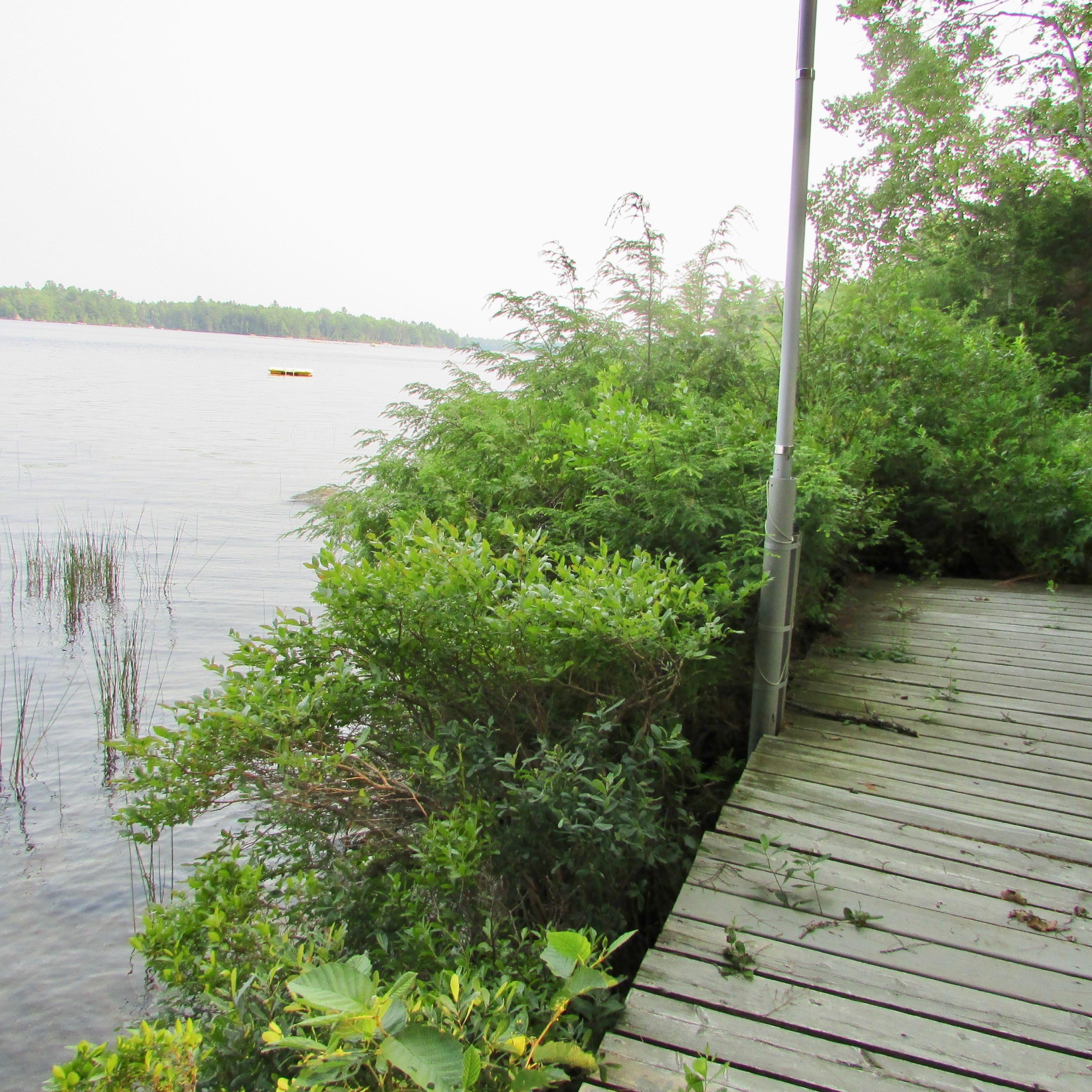 138 Lakeview Road Penobscot, ME 04476 - Photo 50 of 100 IMG_0585
