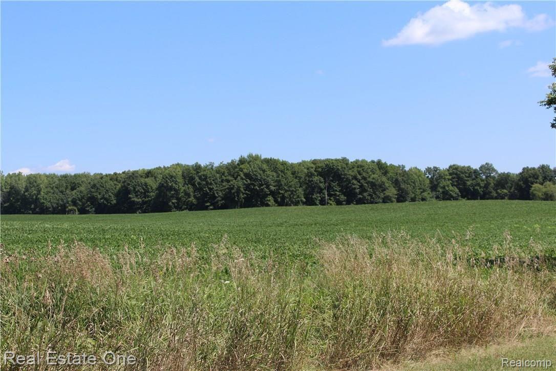 6474 Byron Road Howell, MI 48855 - Photo 17 of 62 IMG_0254.JPG