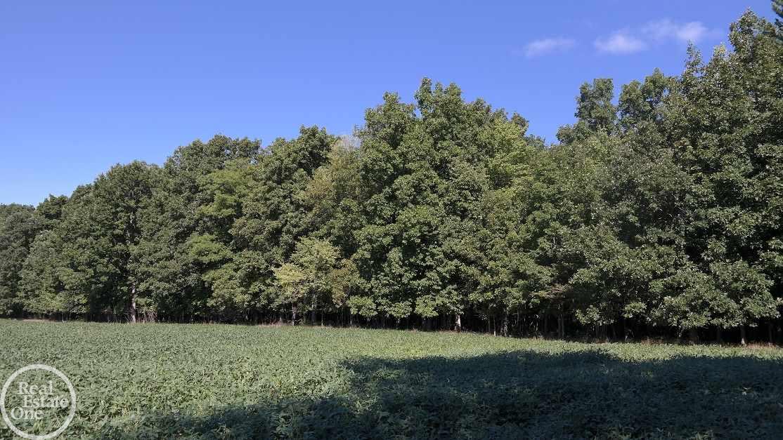 13834 Jeddo Road Yale, MI 48097 - Photo 22 of 23