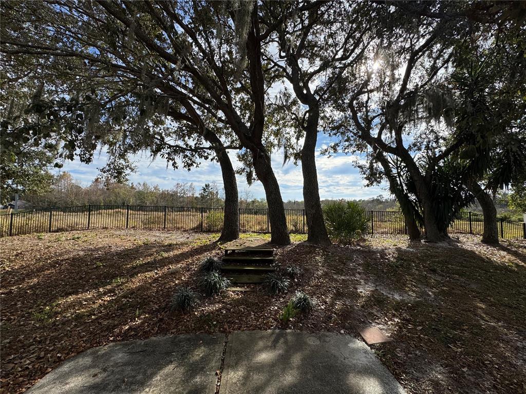 4190 Bear Gully Road Winter Park, FL 32792 - Photo 26 of 30 a view of a yard with a tree