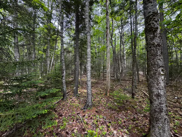 $395,000 | Lot 0 Hadley Point Road, Bar Harbor, ME 04609