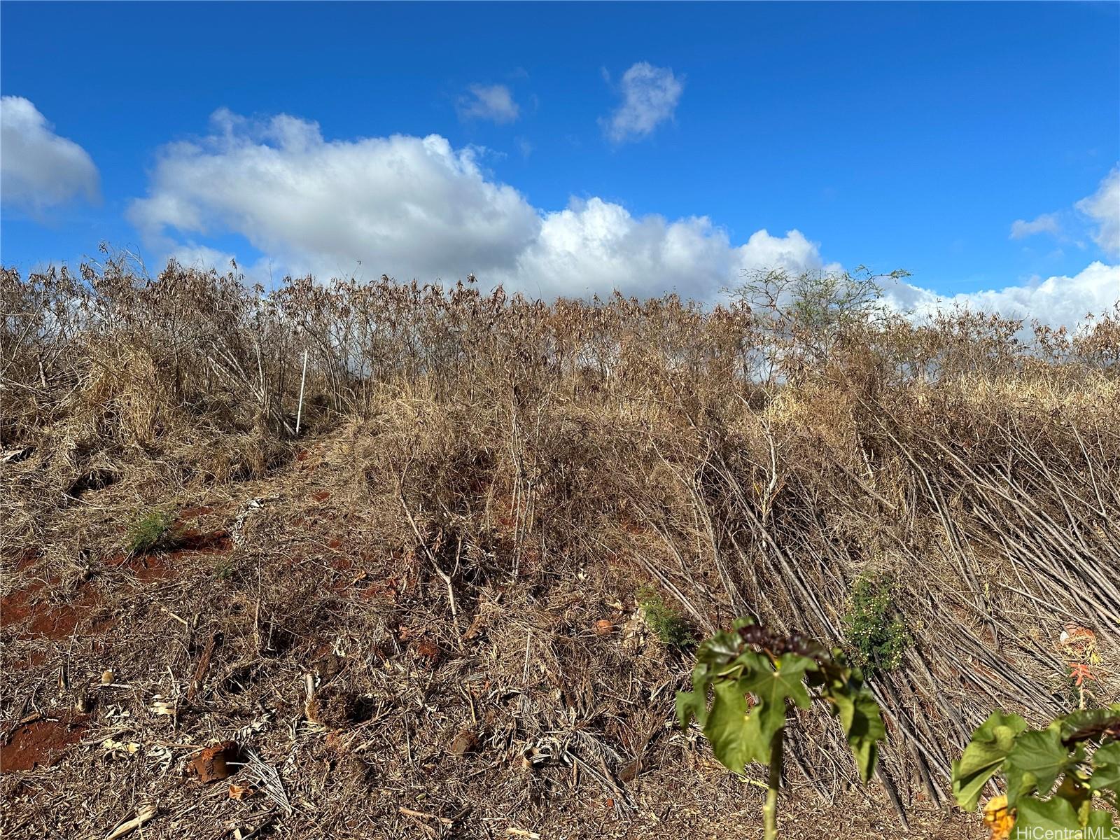 94-944 Kunia Road Waipahu, HI 96797 - Photo 4 of 8 a view of a city with lush green forest