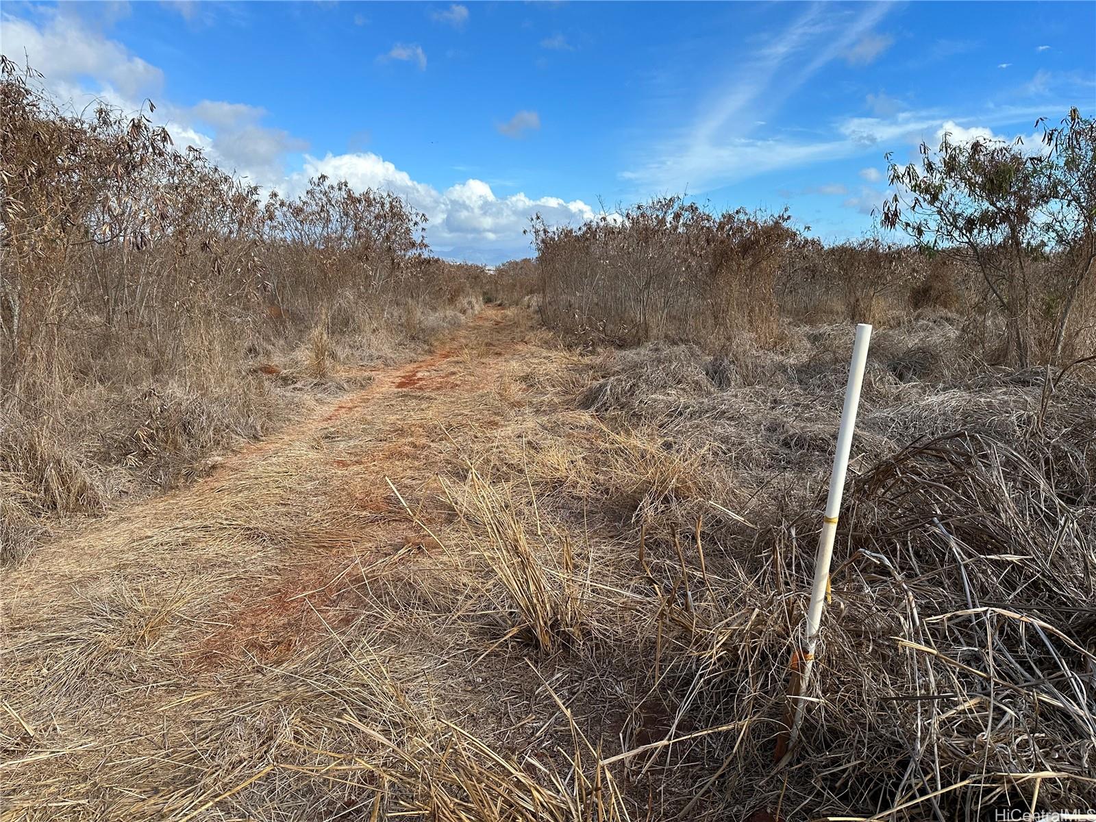 94-944 Kunia Road Waipahu, HI 96797 - Photo 5 of 8 a view of a dry yard with trees in the background