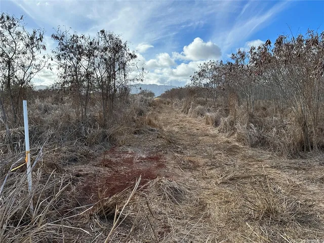 a view of a dry yard with wooden fence