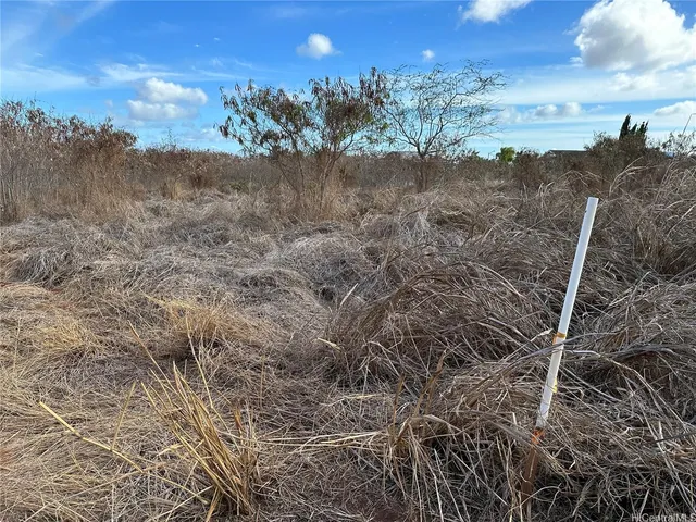 a view of a city street from a building
