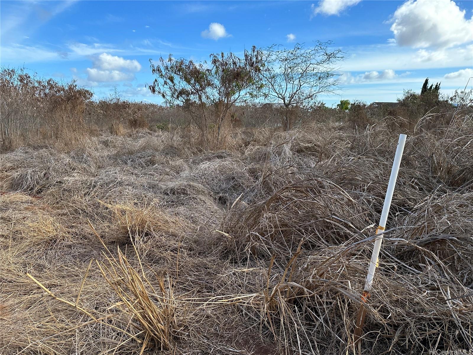 94-944 Kunia Road Waipahu, HI 96797 - Photo 7 of 8 a view of a dry yard with wooden fence