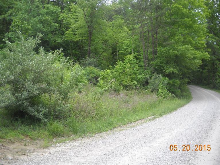 1111 Steele Hollow Road Corbin, KY 40701 - Photo 7 of 9 Photo 7