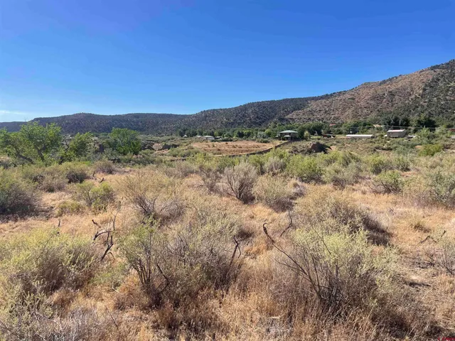 a view of a forest with mountains in the background