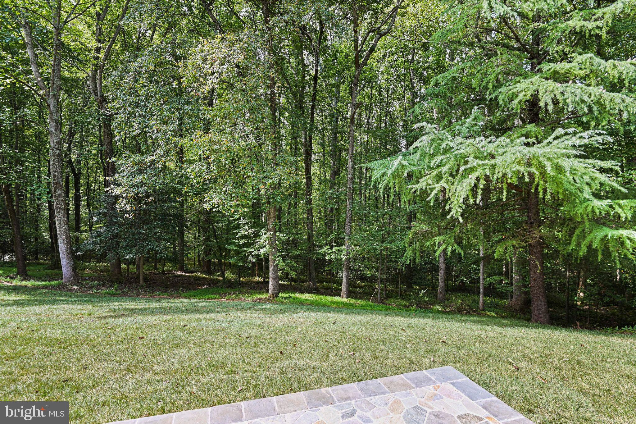 11440 Vale Spring Drive Oakton, VA 22124 - Photo 93 of 93